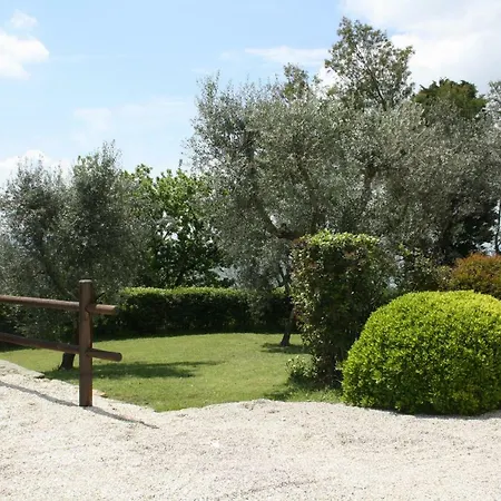 Comparini 