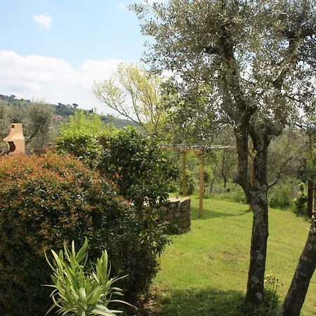 Comparini 